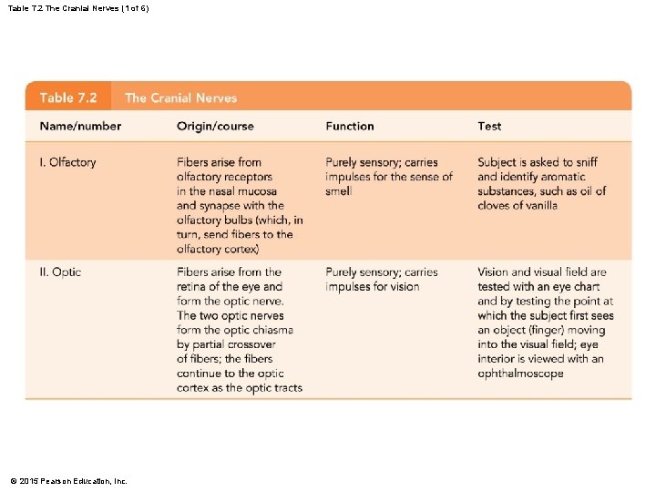 Table 7. 2 The Cranial Nerves (1 of 6) © 2015 Pearson Education, Inc.