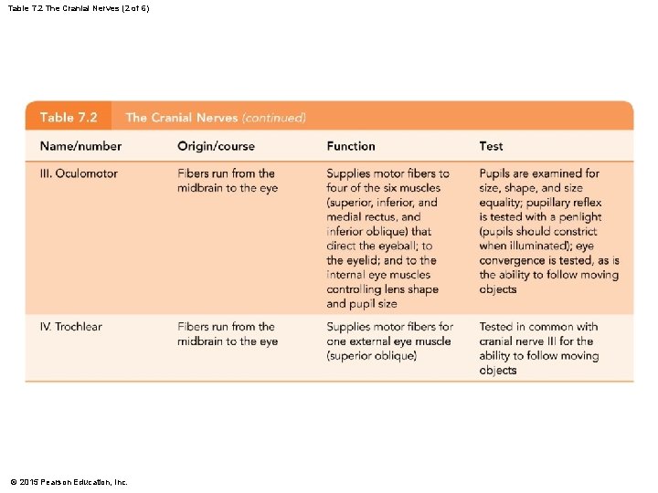 Table 7. 2 The Cranial Nerves (2 of 6) © 2015 Pearson Education, Inc.