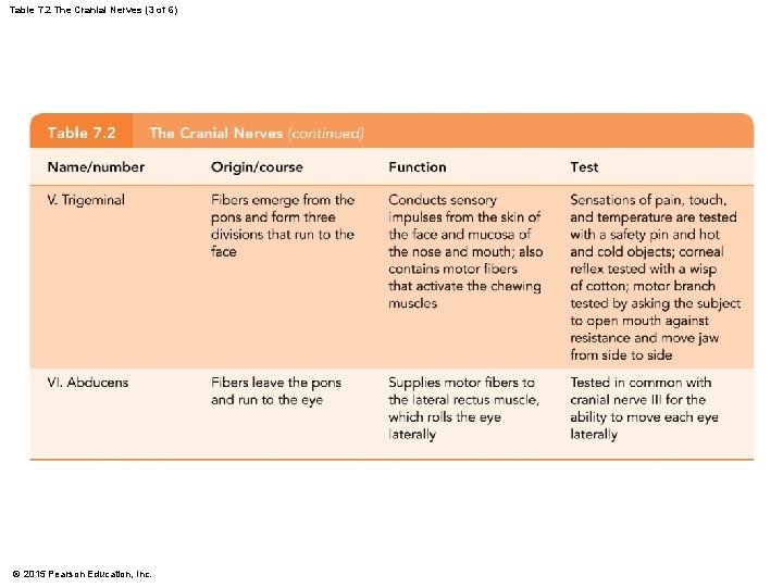 Table 7. 2 The Cranial Nerves (3 of 6) © 2015 Pearson Education, Inc.