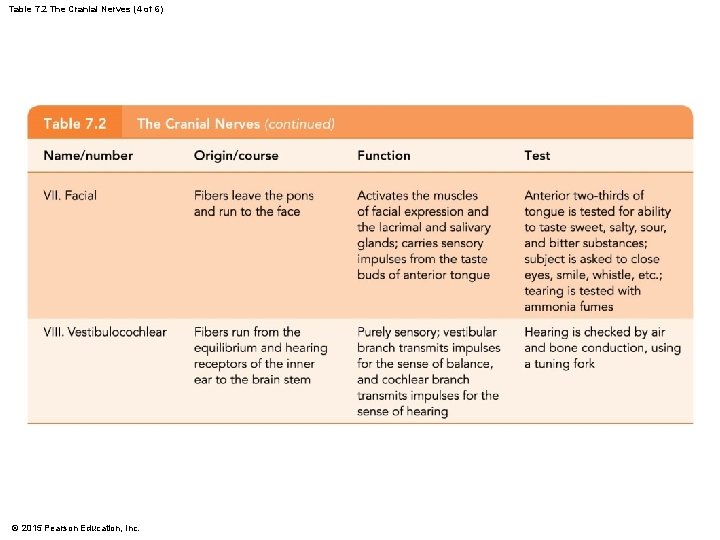 Table 7. 2 The Cranial Nerves (4 of 6) © 2015 Pearson Education, Inc.