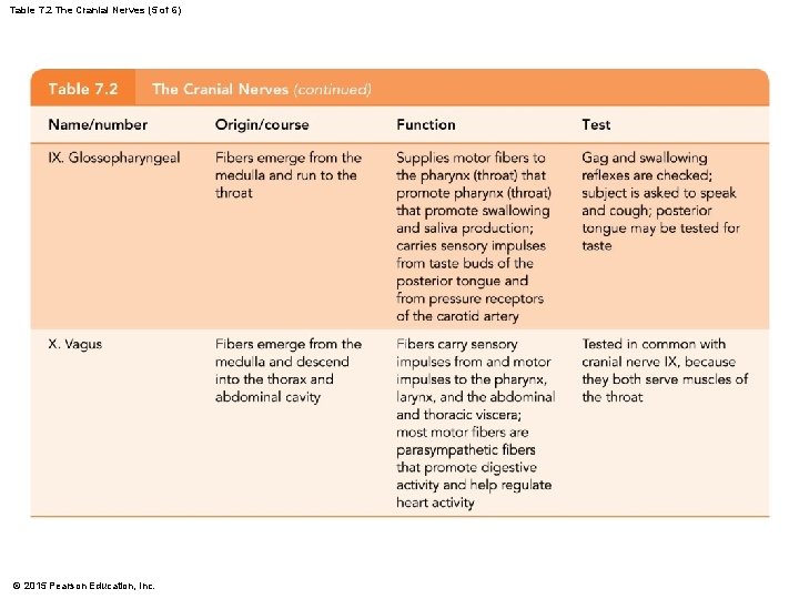 Table 7. 2 The Cranial Nerves (5 of 6) © 2015 Pearson Education, Inc.