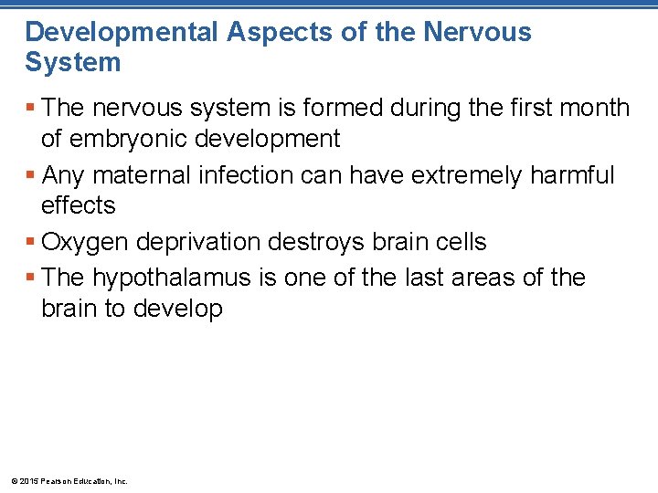 Developmental Aspects of the Nervous System § The nervous system is formed during the