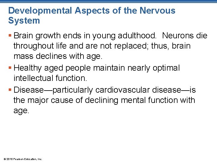 Developmental Aspects of the Nervous System § Brain growth ends in young adulthood. Neurons