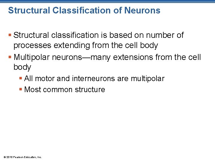 Structural Classification of Neurons § Structural classification is based on number of processes extending