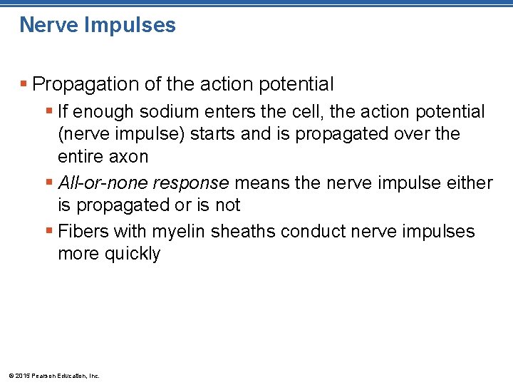 Nerve Impulses § Propagation of the action potential § If enough sodium enters the