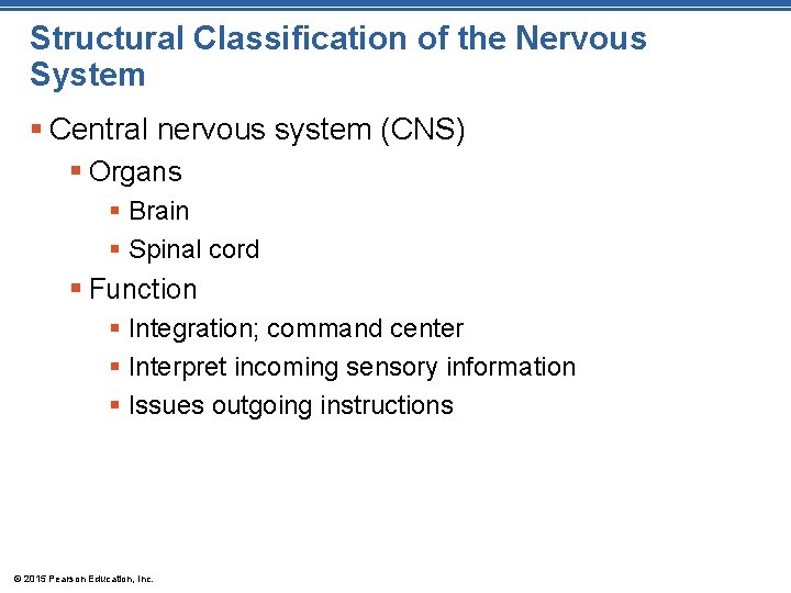 Structural Classification of the Nervous System § Central nervous system (CNS) § Organs §