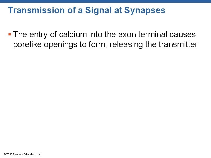 Transmission of a Signal at Synapses § The entry of calcium into the axon