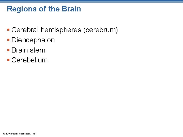 Regions of the Brain § Cerebral hemispheres (cerebrum) § Diencephalon § Brain stem §