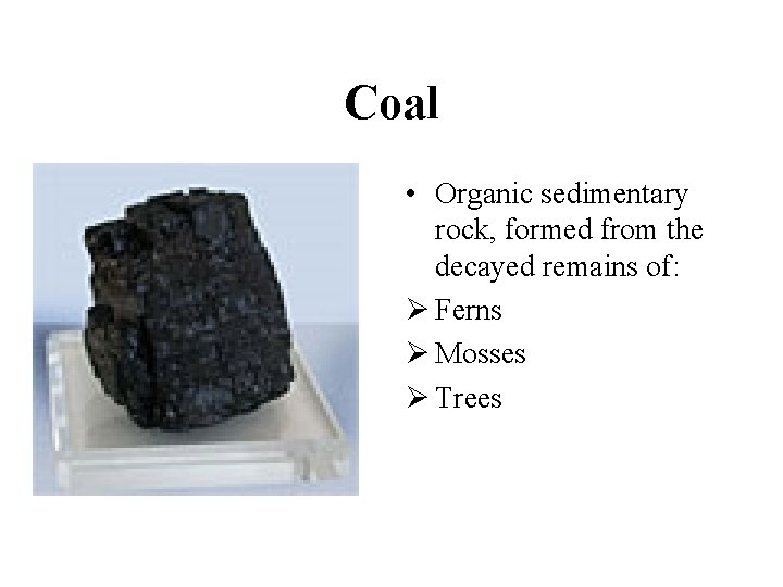 Coal • Organic sedimentary rock, formed from the decayed remains of: Ø Ferns Ø