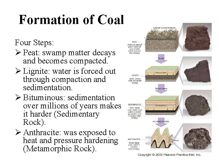 Formation of Coal Four Steps: Ø Peat: swamp matter decays and becomes compacted. Ø