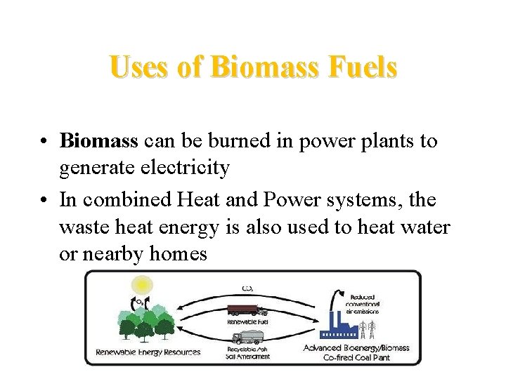 Uses of Biomass Fuels • Biomass can be burned in power plants to generate