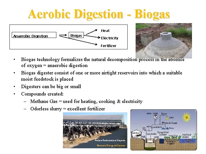 Aerobic Digestion - Biogas Heat Anaerobic Digestion Biogas Electricity Fertilizer • • Biogas technology