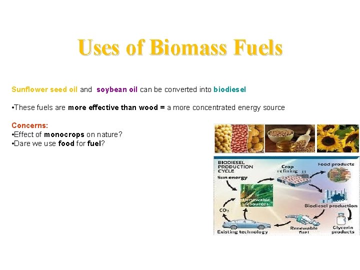 Uses of Biomass Fuels Sunflower seed oil and soybean oil can be converted into