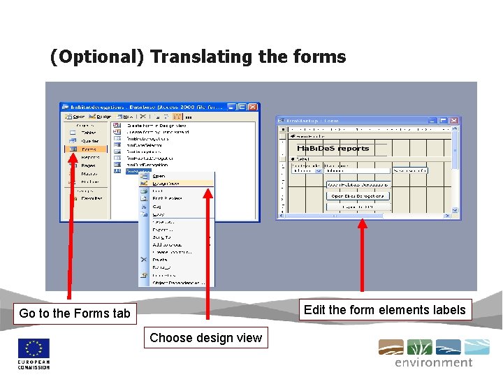 (Optional) Translating the forms Edit the form elements labels Go to the Forms tab