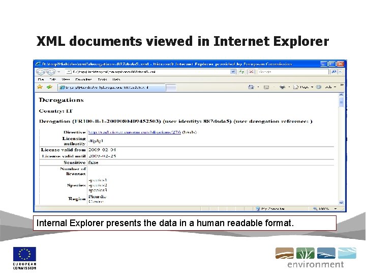 XML documents viewed in Internet Explorer Internal Explorer presents the data in a human