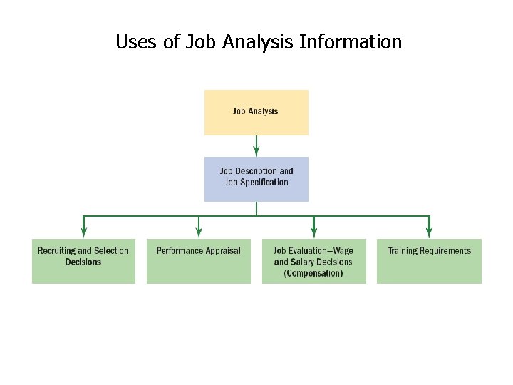 Uses of Job Analysis Information 