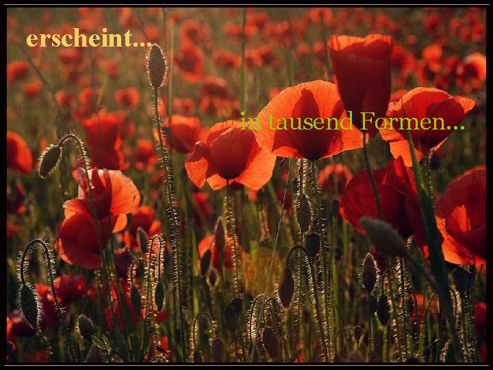 erscheint. . . in tausend Formen. . . erscheint. . . in tausend Formen. . .