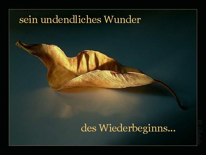 sein undendliches Wunder des Wiederbeginns. . . 