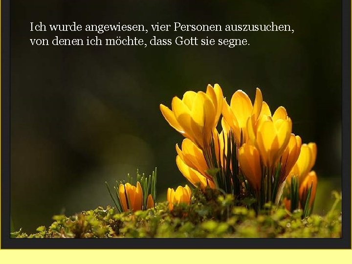 Ich wurde angewiesen, vier Personen auszusuchen, von denen ich möchte, dass Gott sie segne. Ich wurde angewiesen, vier Personen auszusuchen, von denen ich möchte, dass Gott sie segne.