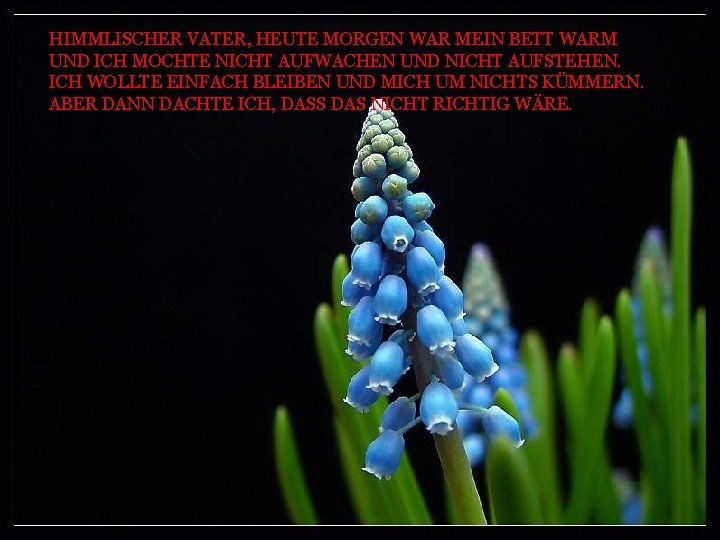 HIMMLISCHER VATER, HEUTE MORGEN WAR MEIN BETT WARM UND ICH MOCHTE NICHT AUFWACHEN UND HIMMLISCHER VATER, HEUTE MORGEN WAR MEIN BETT WARM UND ICH MOCHTE NICHT AUFWACHEN UND