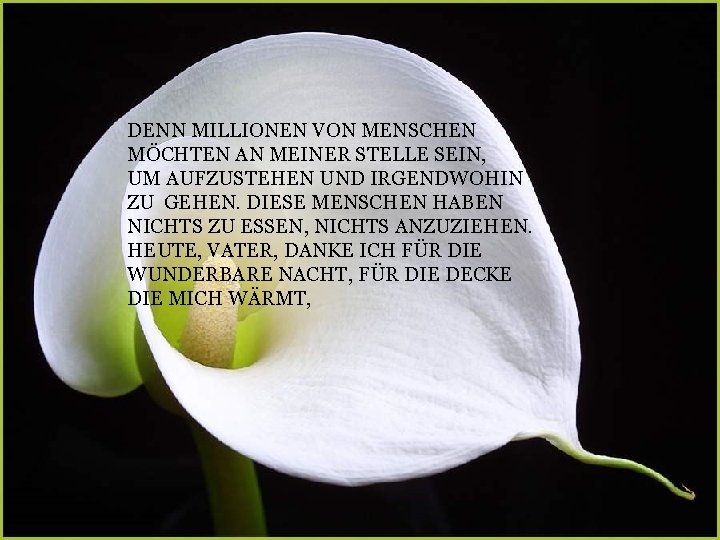 DENN MILLIONEN VON MENSCHEN MÖCHTEN AN MEINER STELLE SEIN, UM AUFZUSTEHEN UND IRGENDWOHIN ZU DENN MILLIONEN VON MENSCHEN MÖCHTEN AN MEINER STELLE SEIN, UM AUFZUSTEHEN UND IRGENDWOHIN ZU
