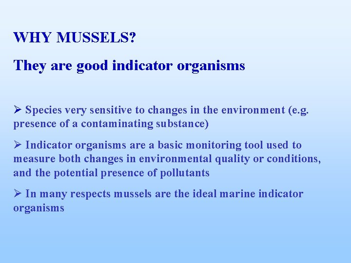 WHY MUSSELS? They are good indicator organisms Ø Species very sensitive to changes in