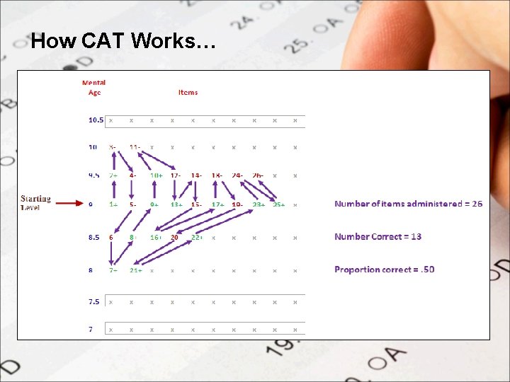 How CAT Works… 