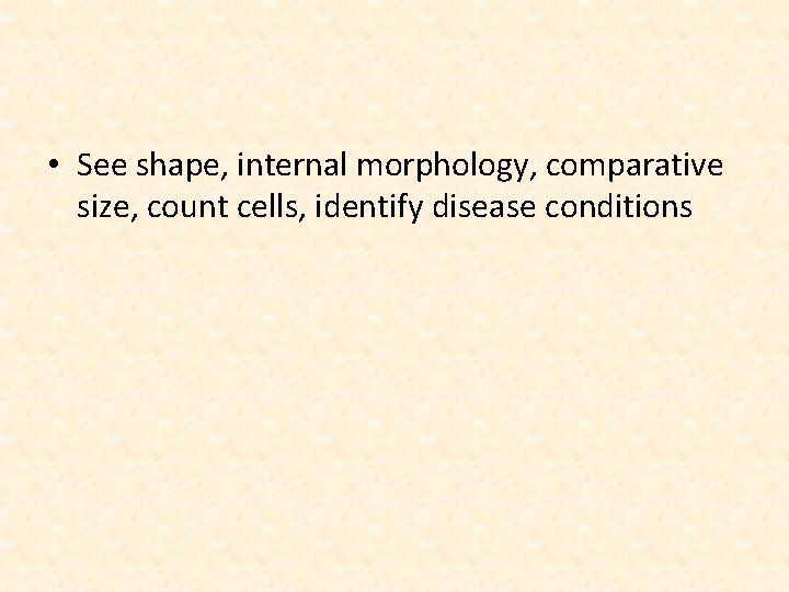  • See shape, internal morphology, comparative size, count cells, identify disease conditions 