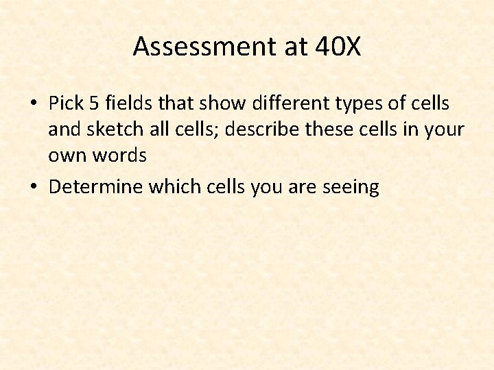 Assessment at 40 X • Pick 5 fields that show different types of cells