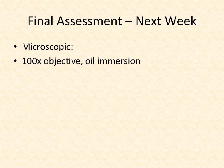 Final Assessment – Next Week • Microscopic: • 100 x objective, oil immersion 