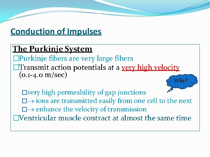 Conduction of Impulses The Purkinje System �Purkinje fibers are very large fibers �Transmit action