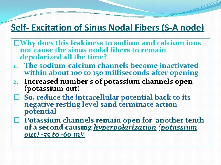 Self- Excitation of Sinus Nodal Fibers (S-A node) �Why does this leakiness to sodium