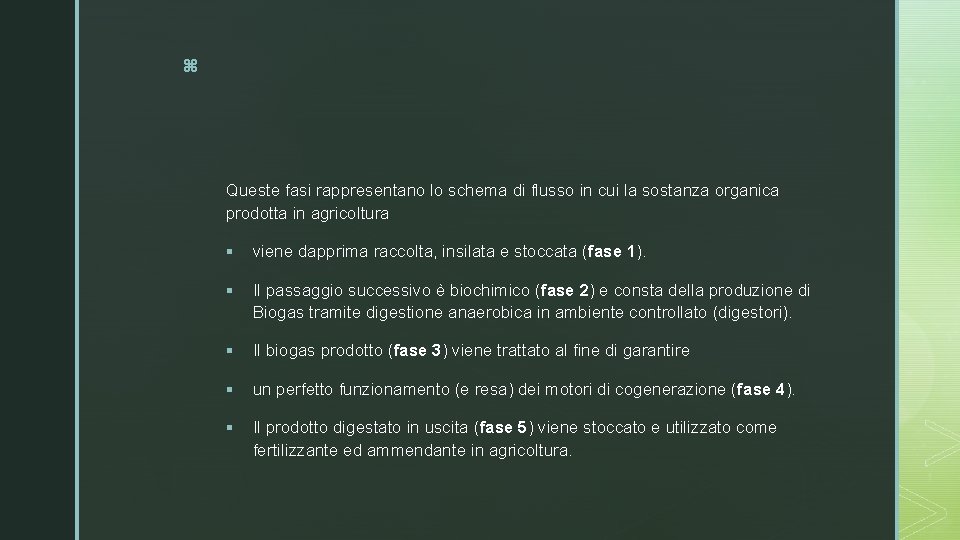 z Queste fasi rappresentano lo schema di flusso in cui la sostanza organica prodotta