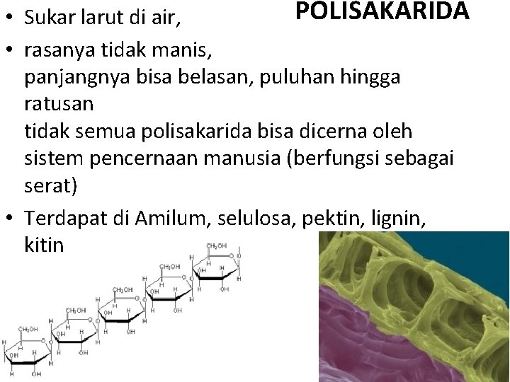 POLISAKARIDA • Sukar larut di air, • rasanya tidak manis, panjangnya bisa belasan, puluhan