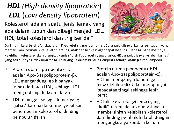 HDL (High density lipoprotein) LDL (Low density lipoprotein) Kolesterol adalah suatu jenis lemak yang