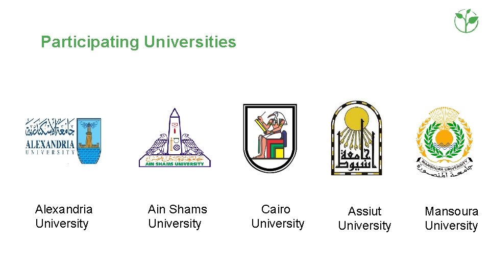 Participating Universities Alexandria University Ain Shams University Cairo University Assiut University Mansoura University 