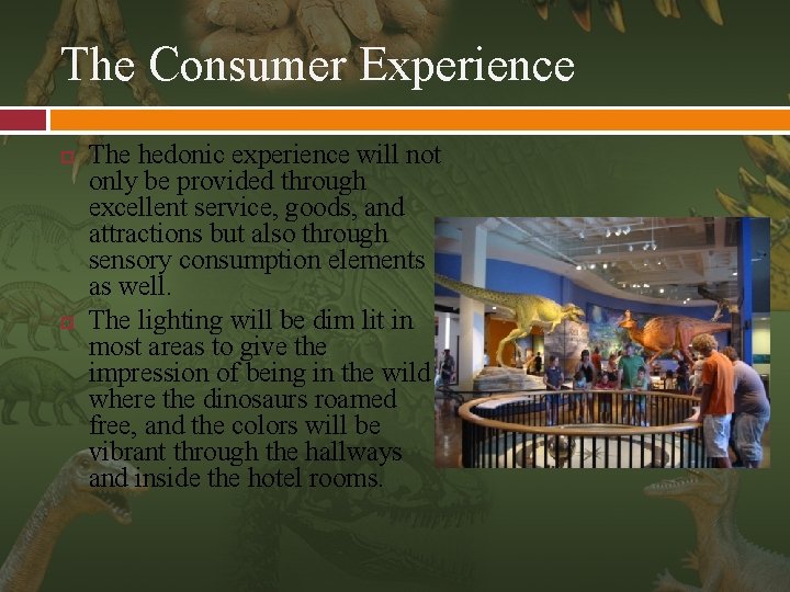 The Consumer Experience The hedonic experience will not only be provided through excellent service,