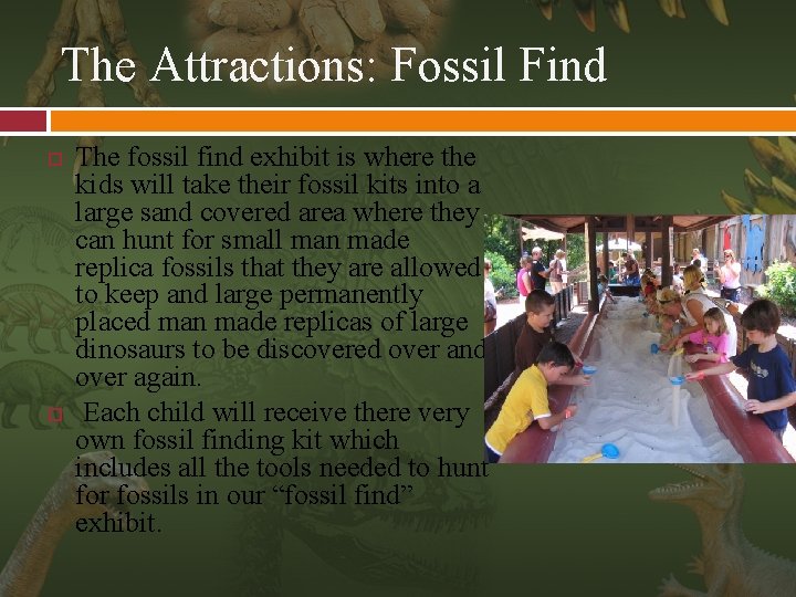 The Attractions: Fossil Find The fossil find exhibit is where the kids will take