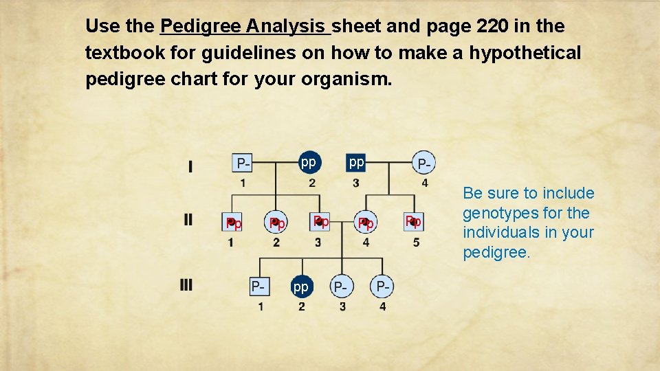 Use the Pedigree Analysis sheet and page 220 in the textbook for guidelines on