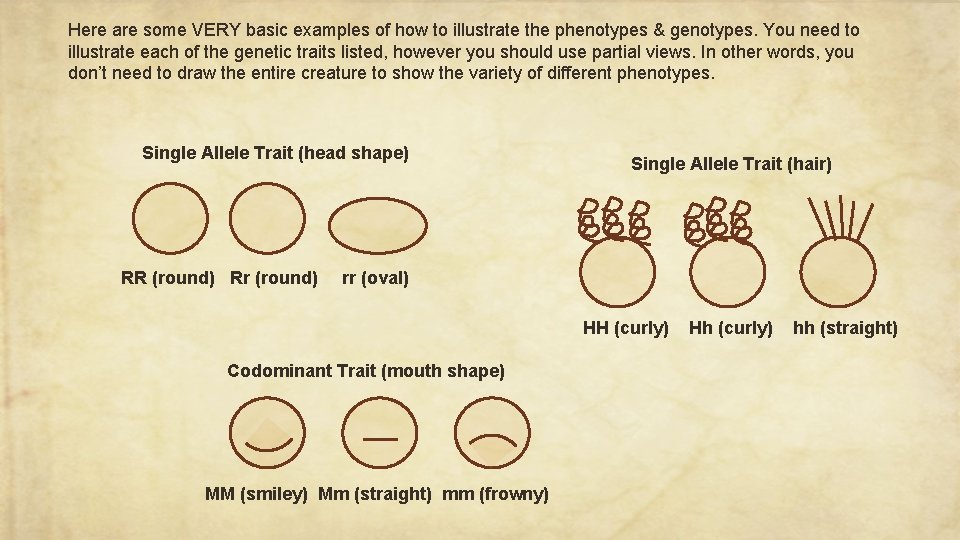 Here are some VERY basic examples of how to illustrate the phenotypes & genotypes.
