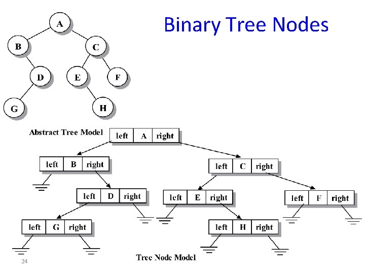 Binary Tree Nodes 24 