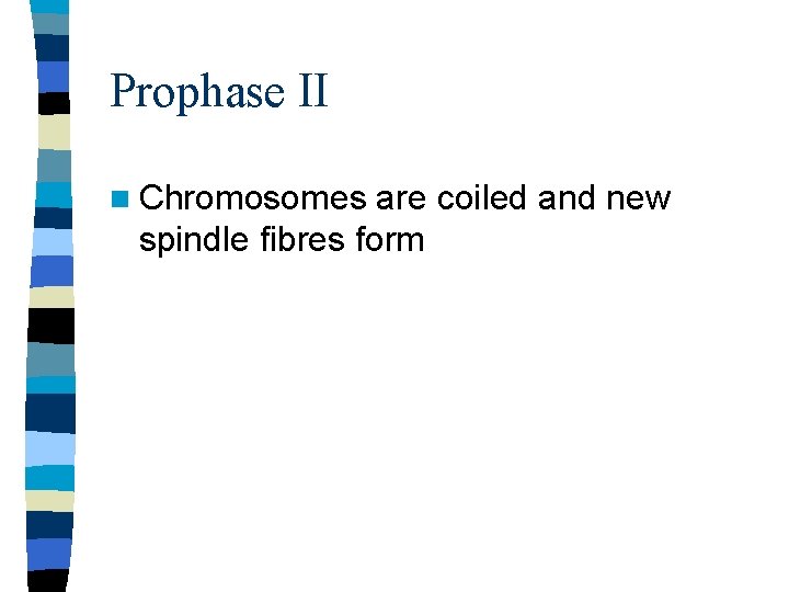 Prophase II n Chromosomes are coiled and new spindle fibres form 