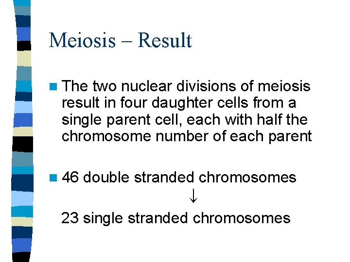 Meiosis – Result n The two nuclear divisions of meiosis result in four daughter