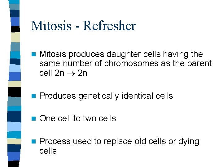 Mitosis - Refresher n Mitosis produces daughter cells having the same number of chromosomes