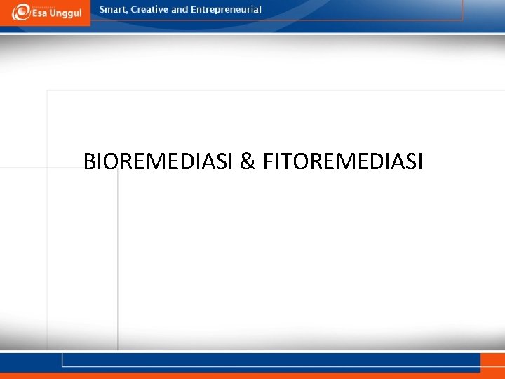 BIOREMEDIASI & FITOREMEDIASI 