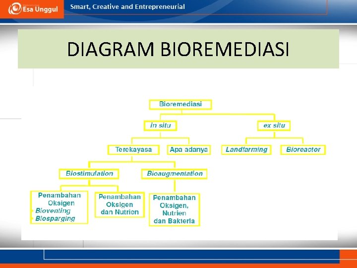 DIAGRAM BIOREMEDIASI 