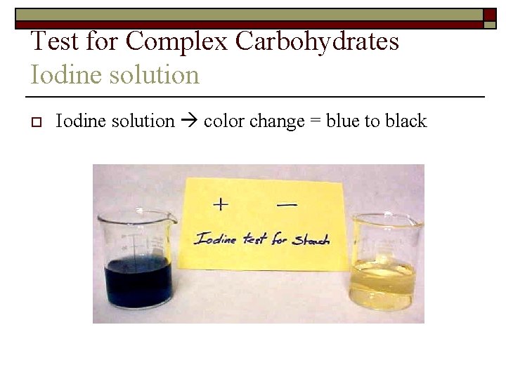 Test for Complex Carbohydrates Iodine solution o Iodine solution color change = blue to