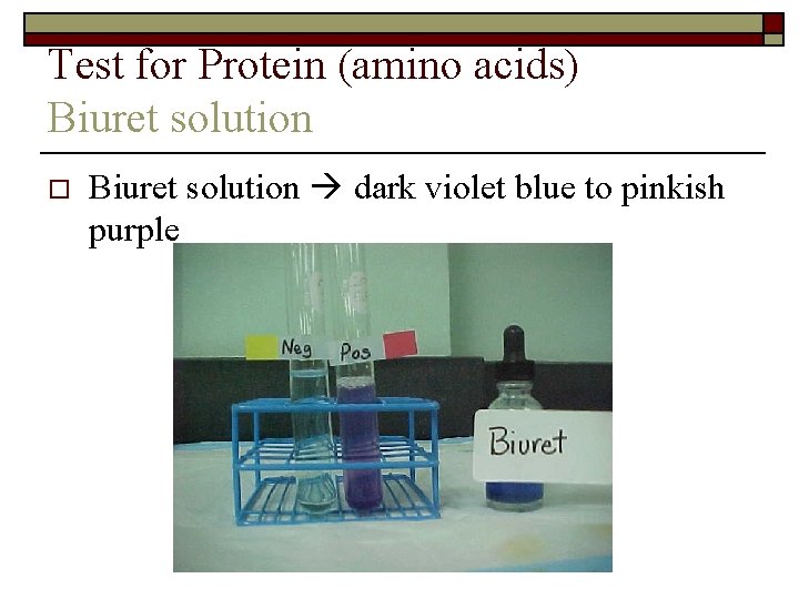 Test for Protein (amino acids) Biuret solution o Biuret solution dark violet blue to