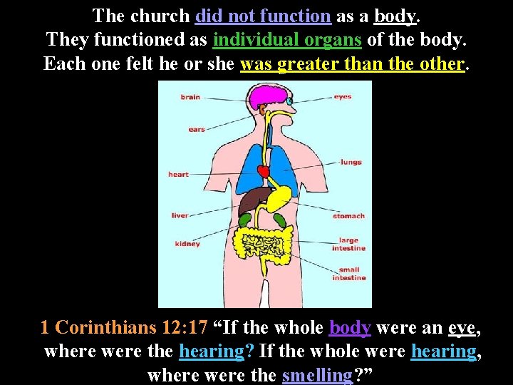 The church did not function as a body. They functioned as individual organs of