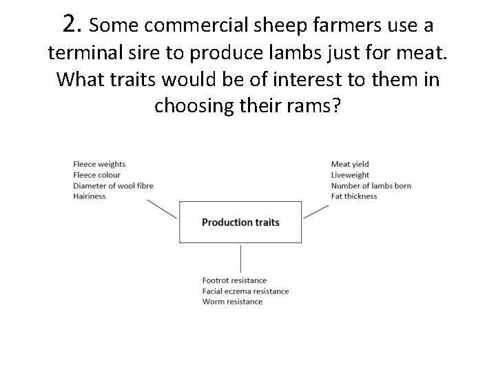 2. Some commercial sheep farmers use a terminal sire to produce lambs just for